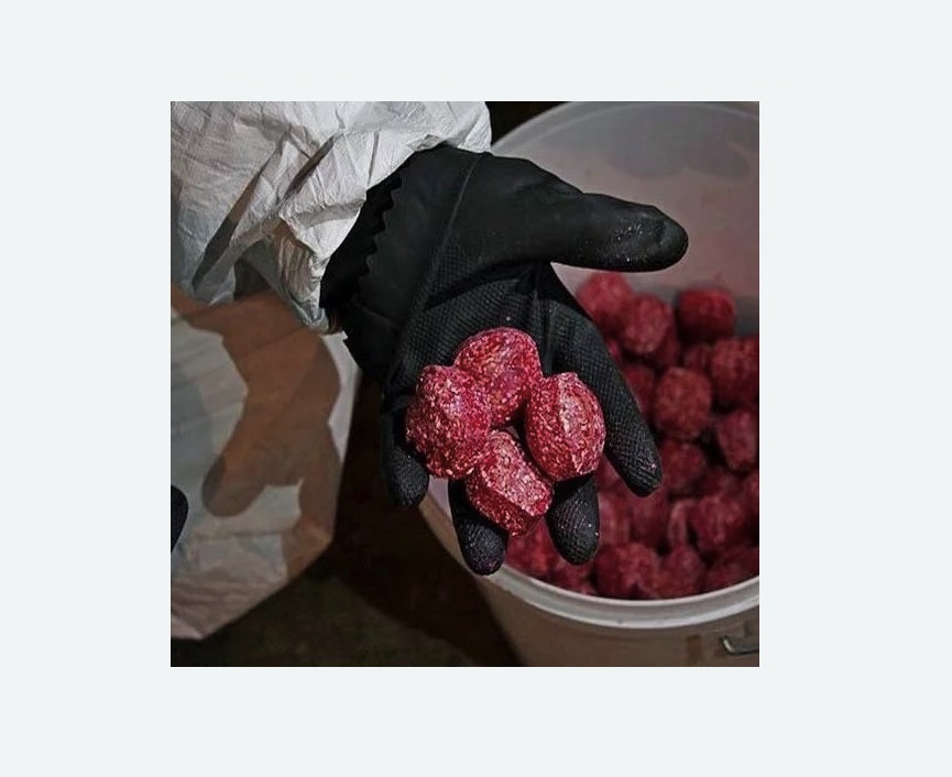 Обработка от крыс Обработка от крыс в Усолье-Сибирском