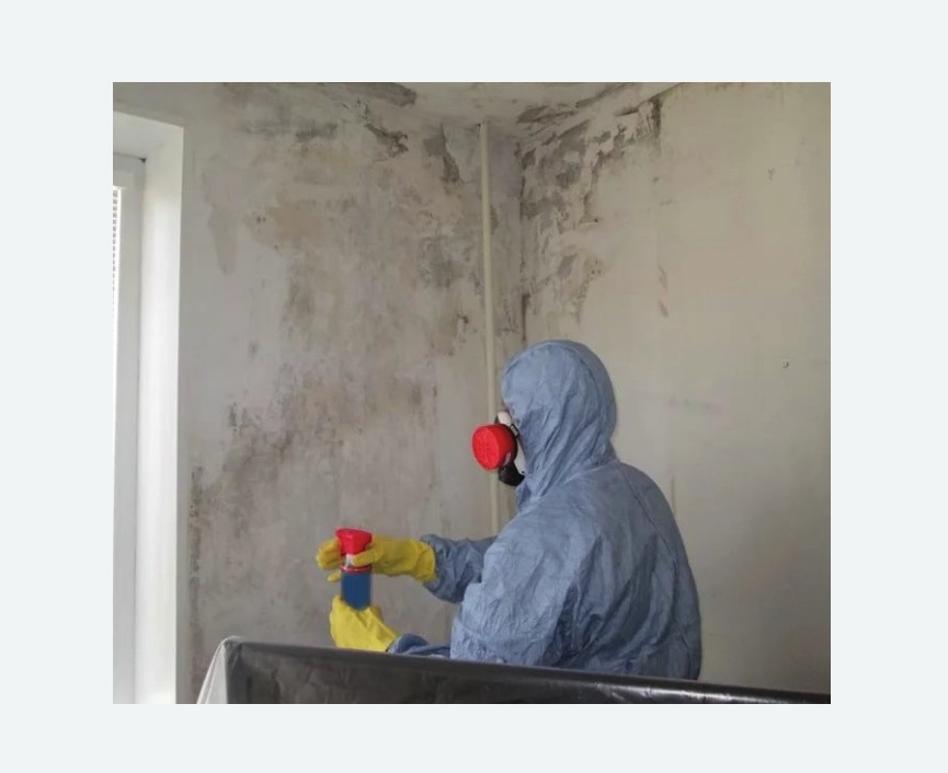Удаление плесени в квартире Удаление плесени в квартире в Усолье-Сибирском